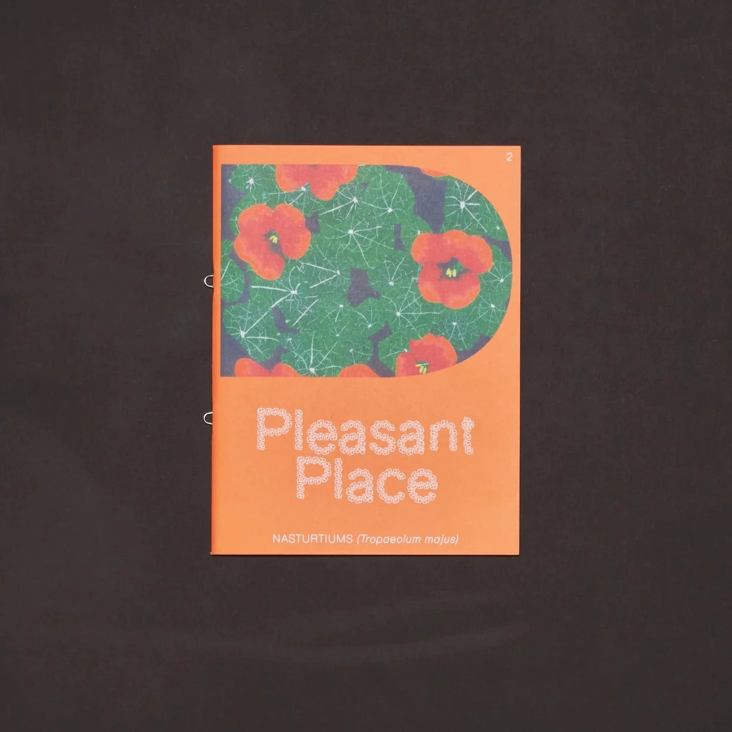 Pleasant Place Issue 2: Nasturtiums