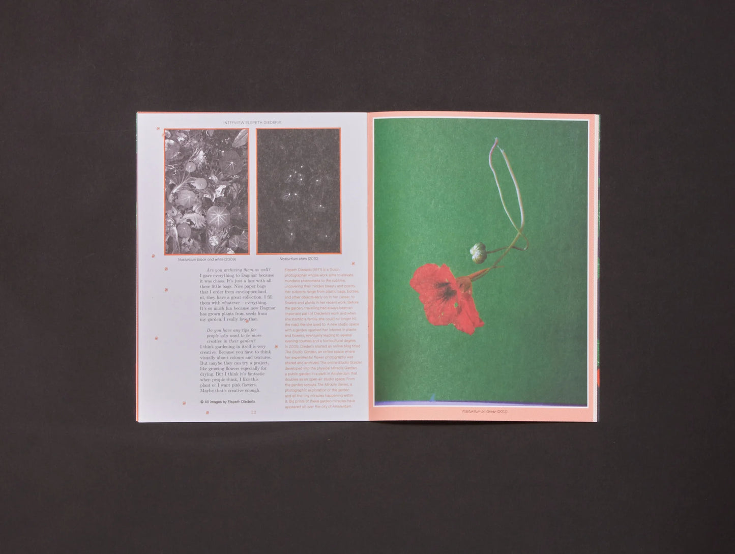 Pleasant Place Issue 2: Nasturtiums