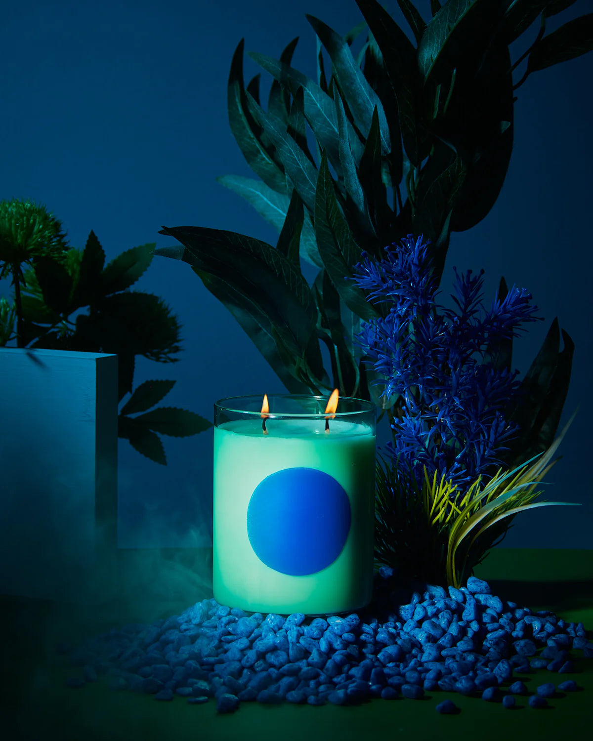 WXY Disco Candle - Basil & Sweet Lime. Interior photo