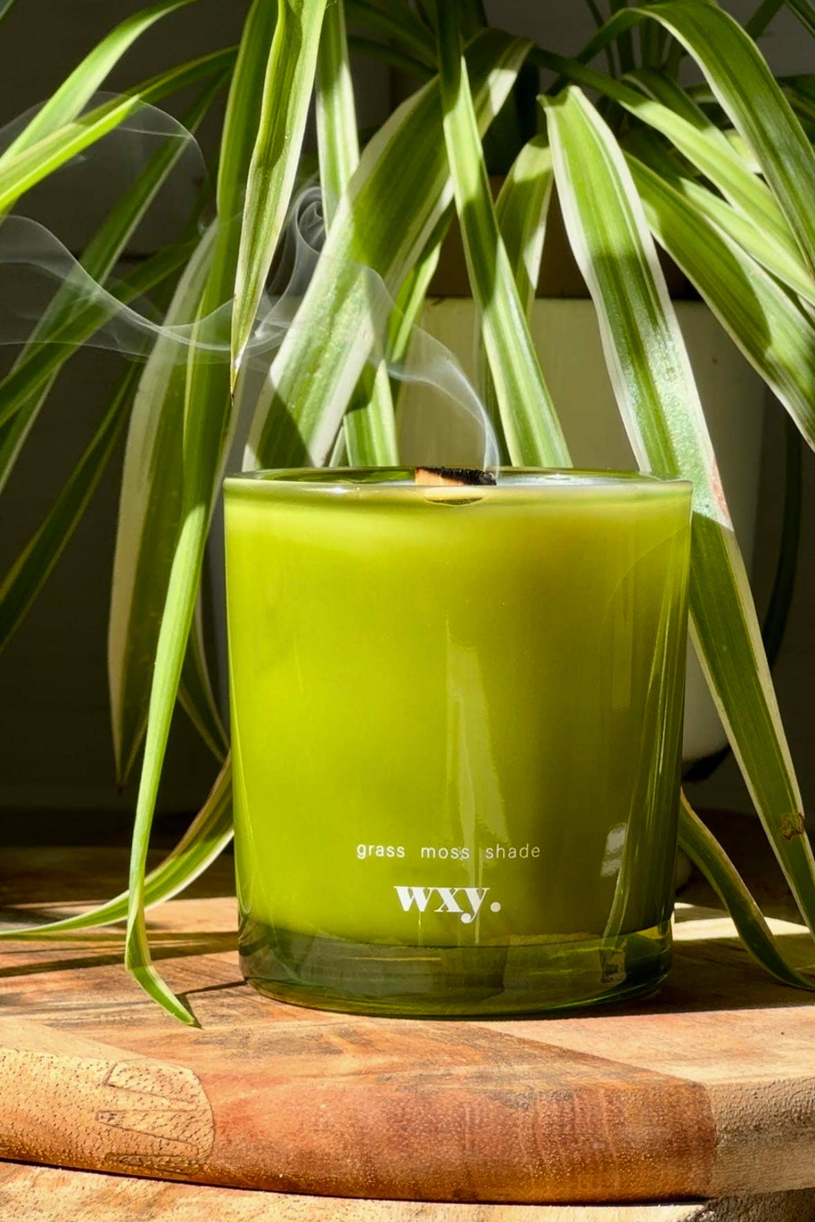 Roam mini. - 5.2oz candle - grass. moss. shade.