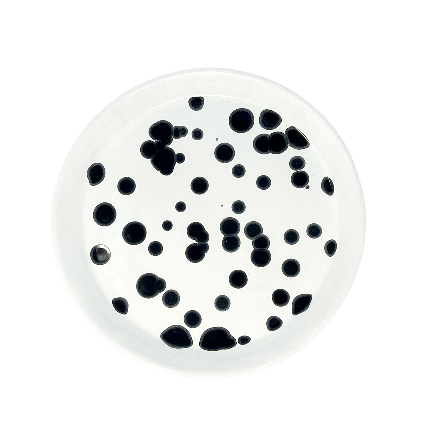 Dalmatian Plate