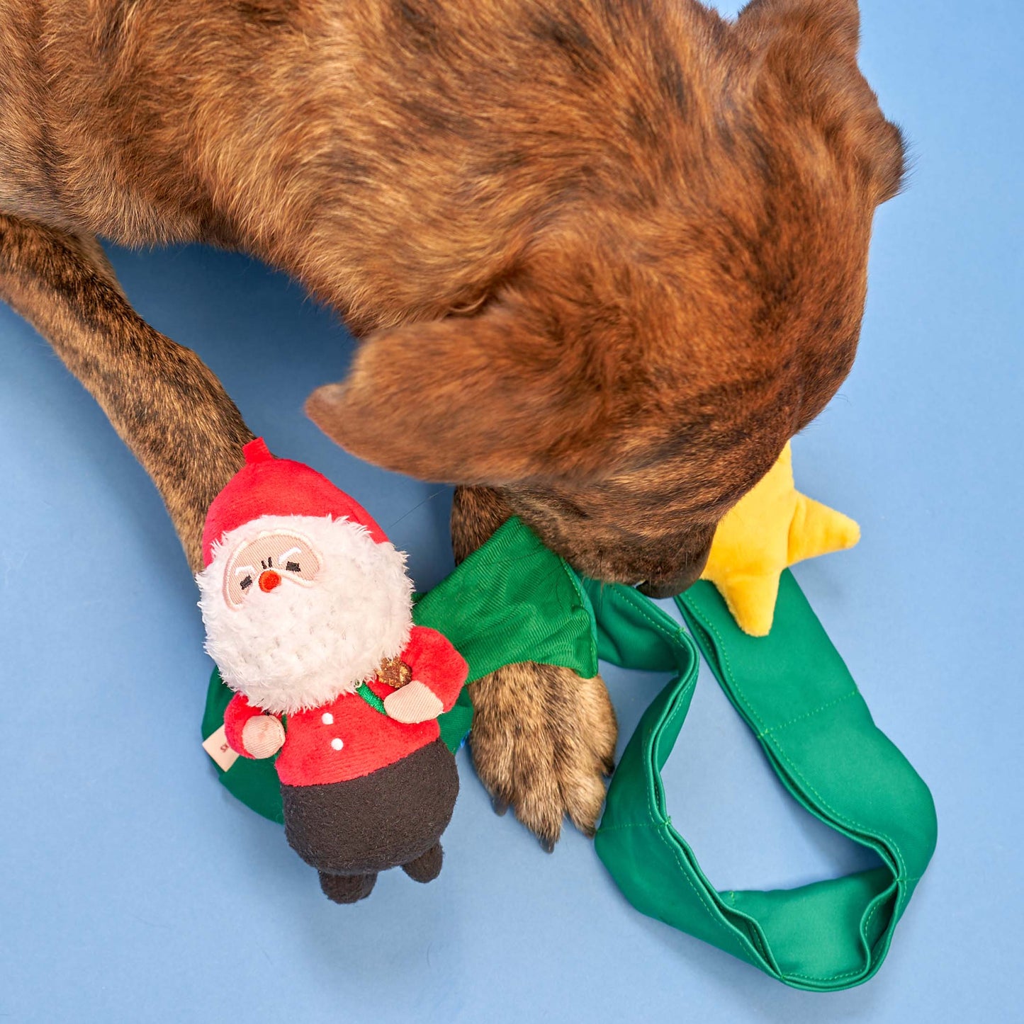 Santa Paws Nosework Toy