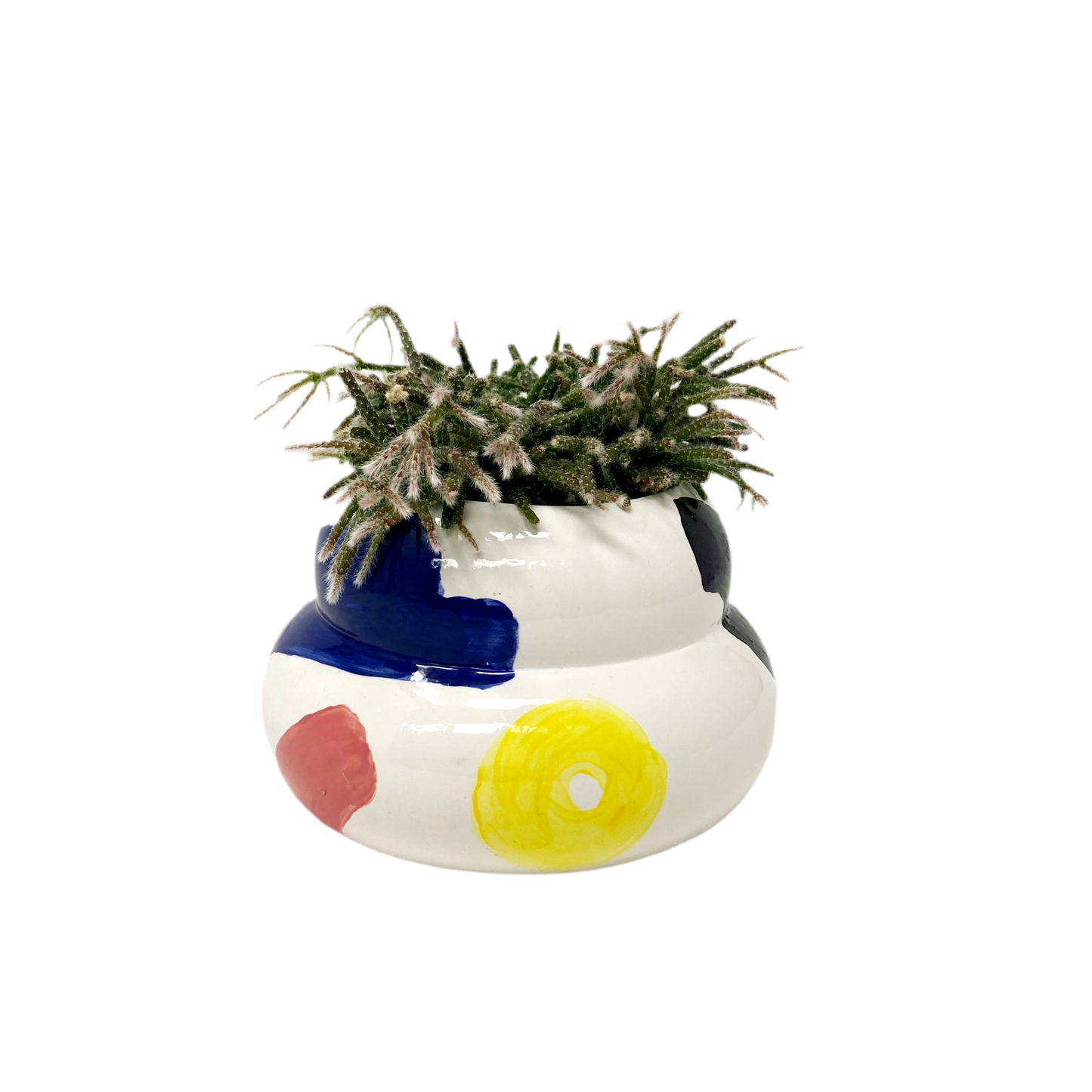 Expression Poo Planter