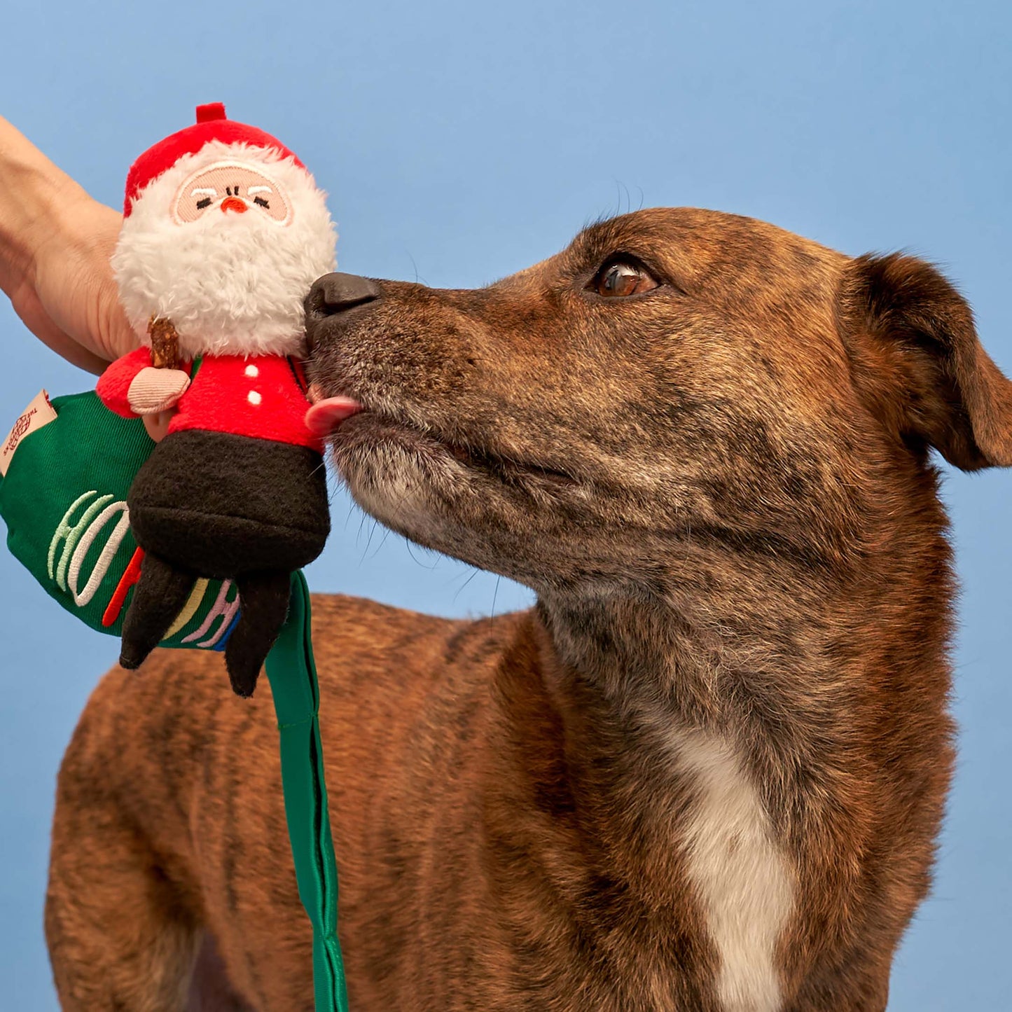 Santa Paws Nosework Toy