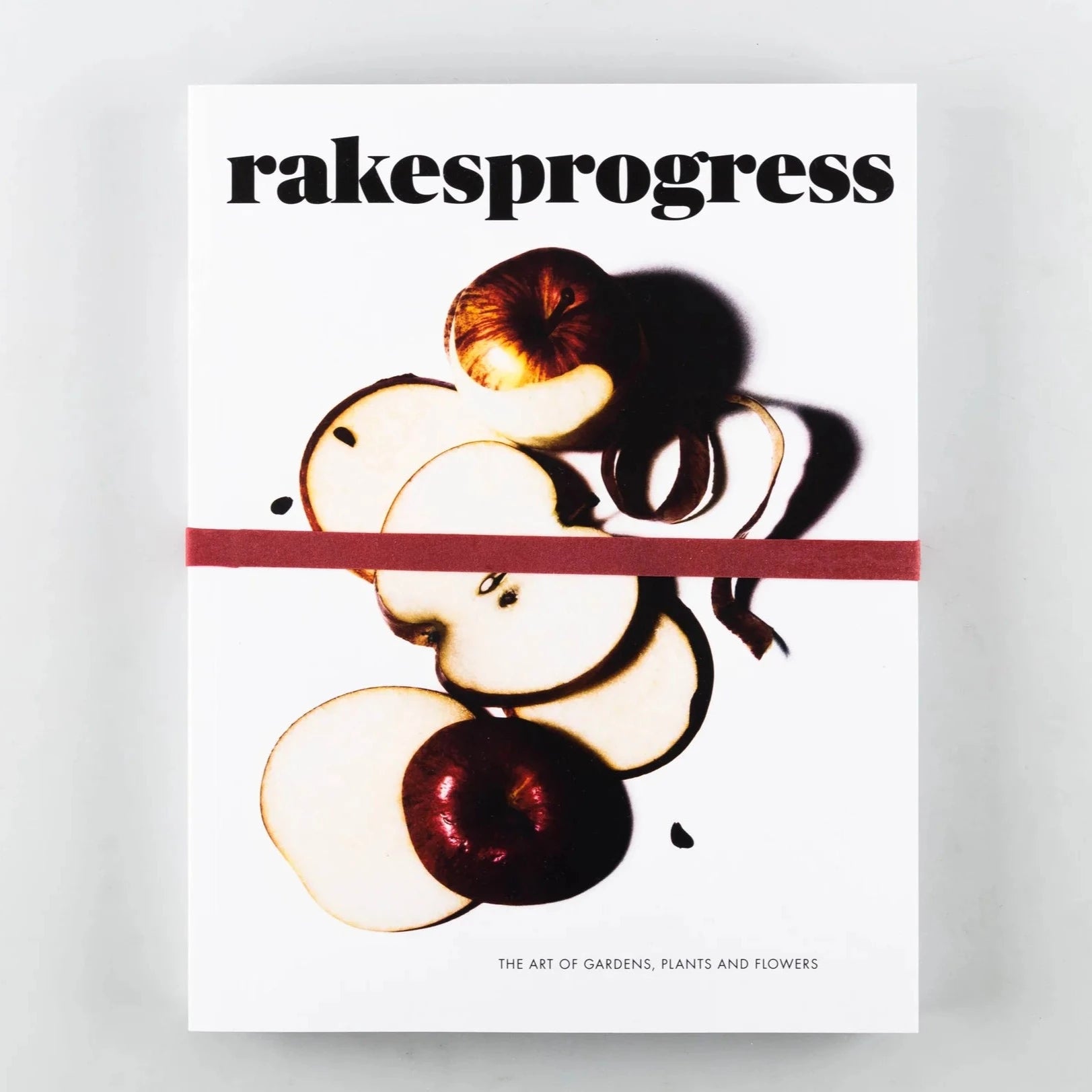 Rakesprogress - Issue 16. Front Cover