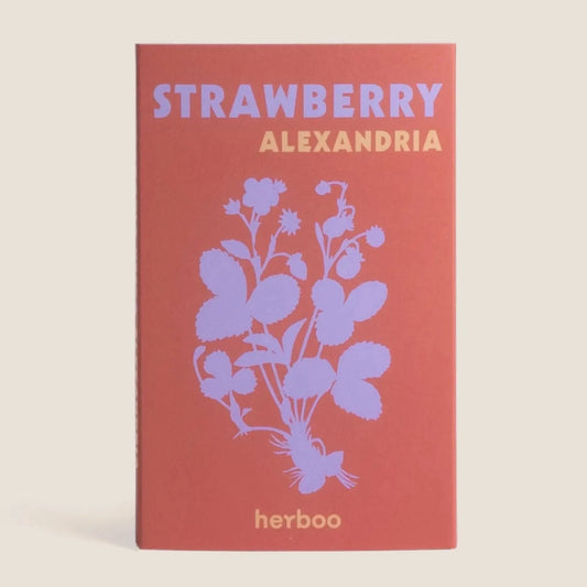 Strawberry 'Alexandria' Seeds