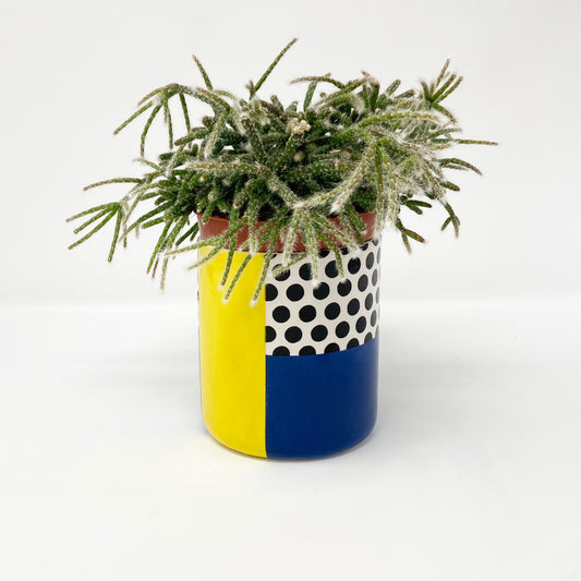 Dots Pot