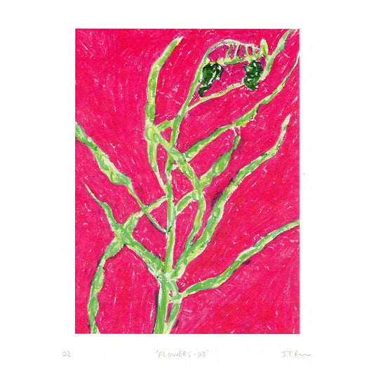 Solitary Plant Print