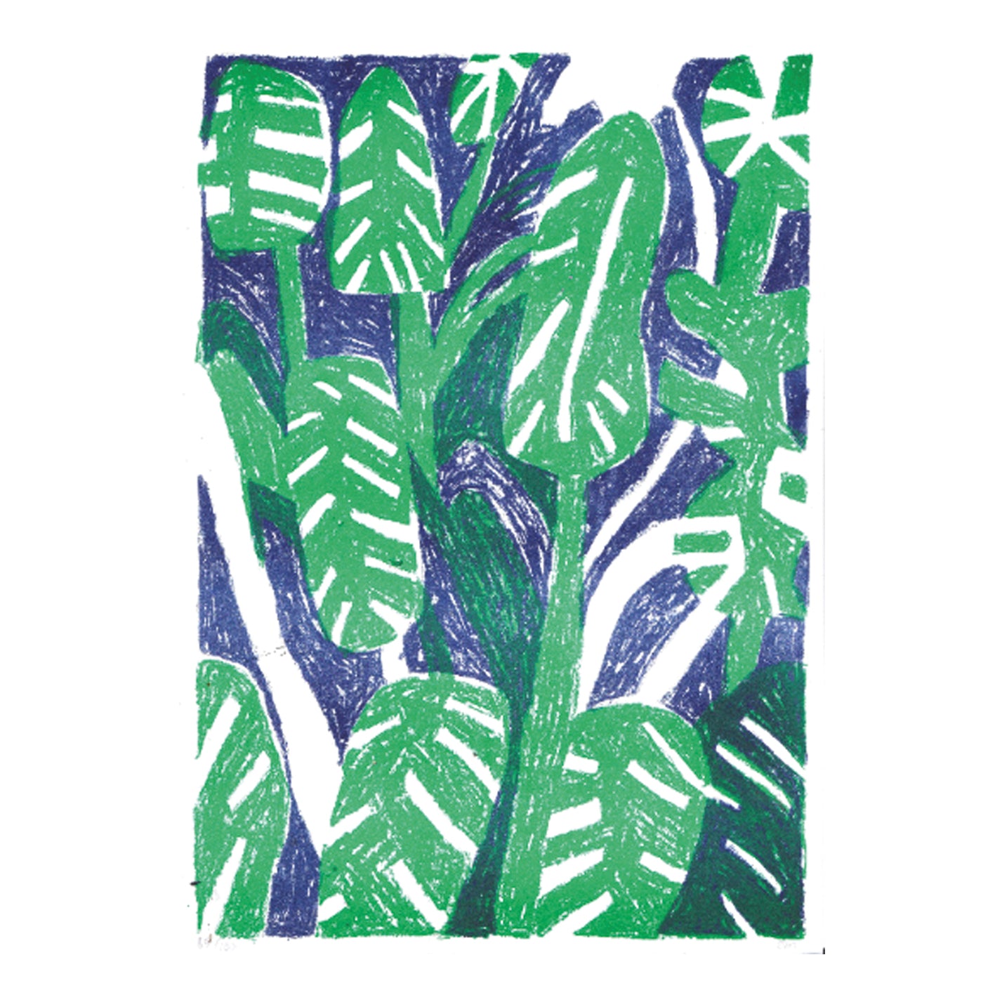 Plant Print - John Molesworth