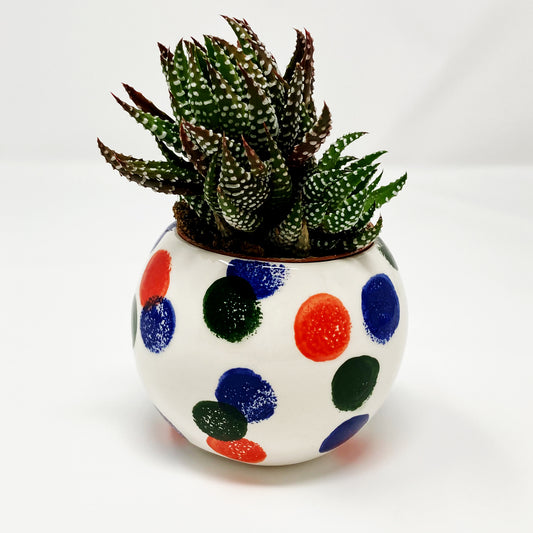 Orb Pot Small: Dots