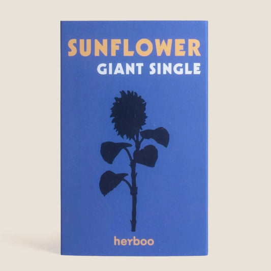 Sunflower 'Giant Single' Seeds